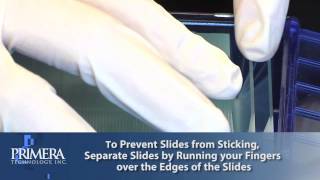 Primera's Signature Slide Printer Support: How to Separate Slides Before Printing
