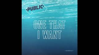 One That I Want - PUBLIC