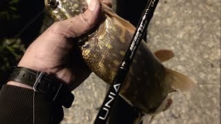 видео: Огляд спінінга Alta UNIA UNS-662M 1.98м тест 6-24. Бюджетний спінінг для новачка, початківця. 🎣🕶️🐟🐟🐟 картинка: Огляд спінінга Alta UNIA UNS-662M 1.98м тест 6-24. Бюджетний спінінг для новачка, початківця. 🎣🕶️🐟🐟🐟
