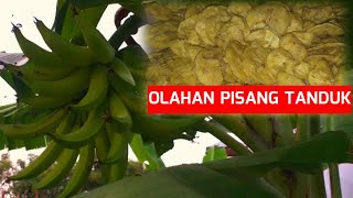 Cara Membuat Keripik Pisang Tanduk
