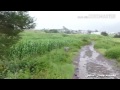 وحدي انا بين اشتكي سهادي 