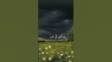 تلاوة جميلة جداً من سورة النمل بصوت القارئ عبدالرحمن مسعد 💙.