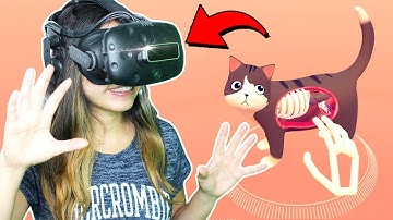 Leap Motion Major Update Released!! - Cat Explorer, Particles & Paint (HTC Vive)