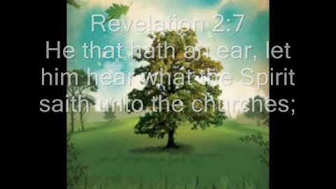 The Garden of Eden Part 2 "The Tree of Life"