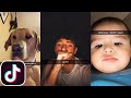 Nice Guys Always Finish Last, Should Have Known That | TikTok Compilation