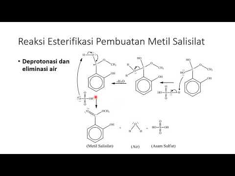 Reaksi esterifikasi untuk pembuatan Metil Salisilat