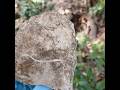 Signs of early human Knapping #shorts #ancientsignsoflife #artifacts #arrowheads #rocks #1m