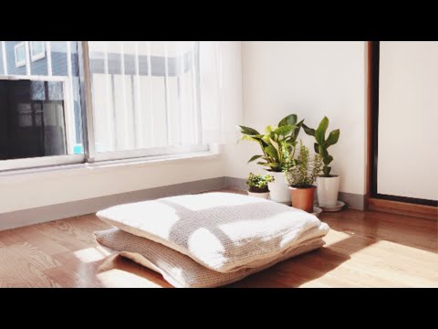 Video: The Charming of Minimalism White: House With Gardens in Japan