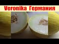 Что приготовить, чем накормить семью? 🏠 What to cook for a family?