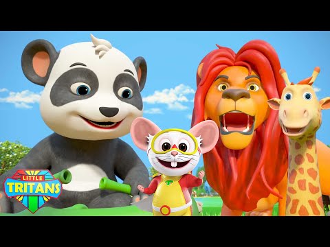 Canzone Dello Zoo + Di Più Cartone Animato Video Per Bambini In Italiano