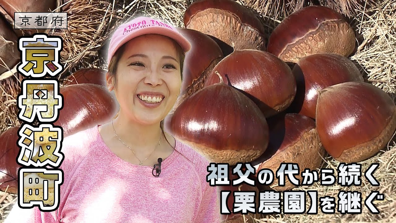祖父の代から続く栗農園を継ぐ女性｜京丹波町｜【ふるさとDays】