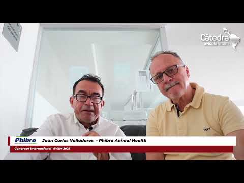 Phibro Avicultura: Antibióticos y alternativas de salud intestinal