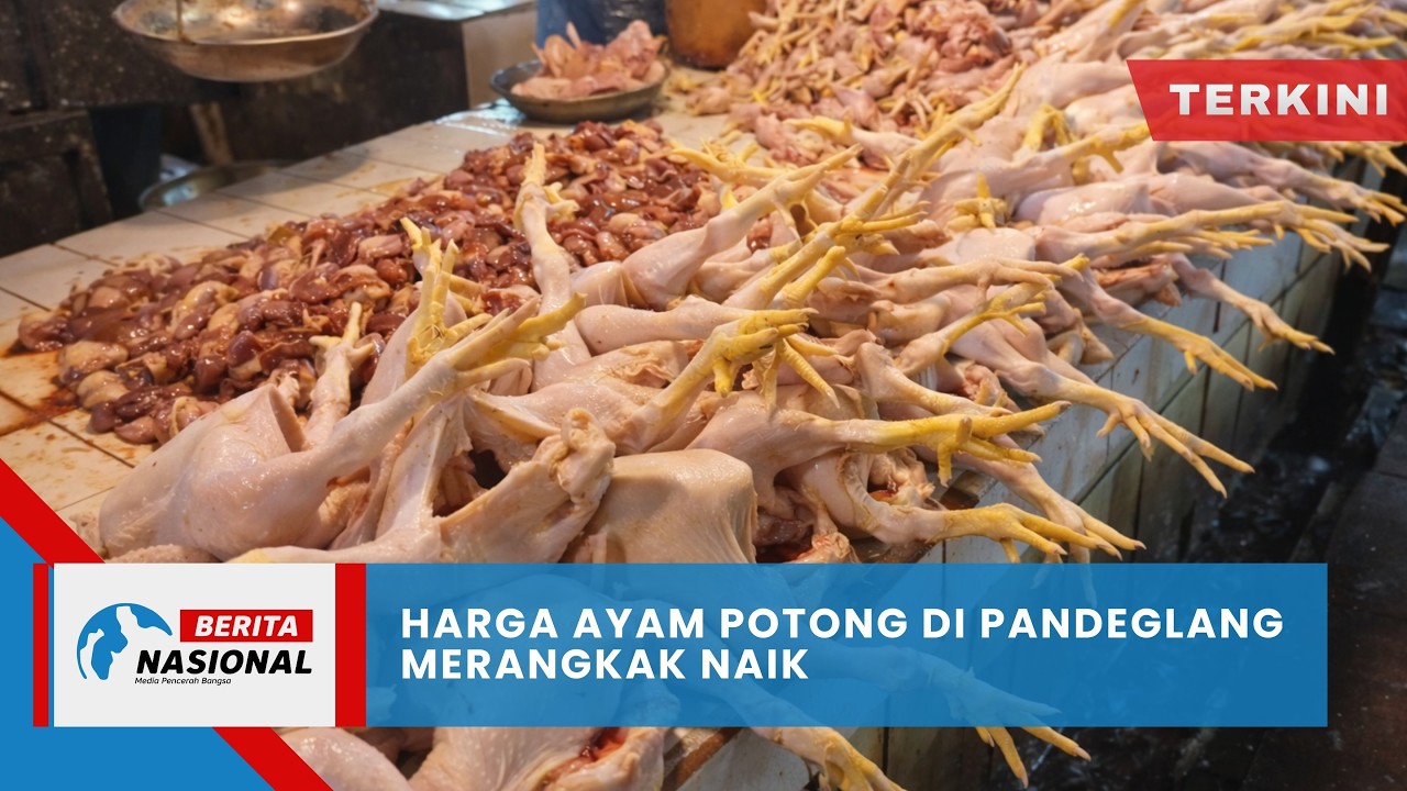 Berita Nasional Terkini | Harga Ayam Potong di Pandeglang Merangkak Naik