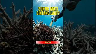 SUNTIK MATI BINTANG LAUT?