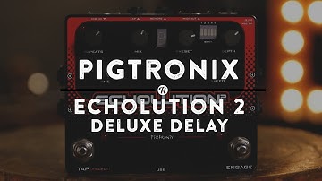 Pigtronix Echolution 2 Deluxe Delay | Reverb Demo Video