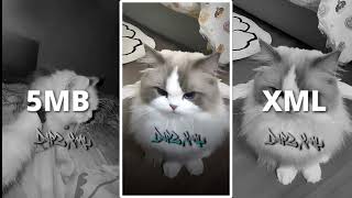 Preset Alight Motion Collab Berdua  5mb U0026 Xml Dj Gratata X Binatang Viral Tik Tok