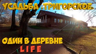 видео: Пушкинские горы . УСАДЬБА «ТРИГОРСКОЕ» картинка: Пушкинские горы . УСАДЬБА «ТРИГОРСКОЕ»