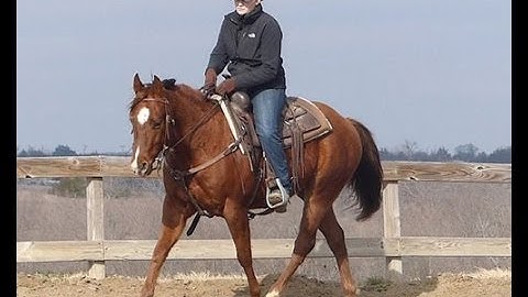 Larry  ***For info, price, etc., go to our website*** Valley View Ranch