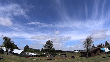 Align Trex 450 Plus DFC Flight video (raw)