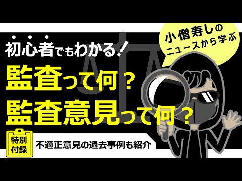 初心者でもわかりやすく解説！監査って何？監査意見って何 ...
