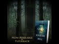 16-second trailer_The Cabin On Souder Hill