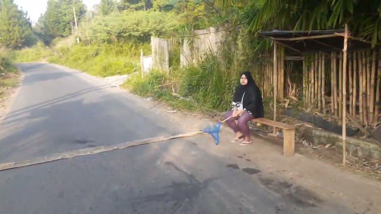 ⭕SUASANA JALAN CIROYOM CICOHAG PADAASIH MENUJU CICANTAIAN TANJAKAN SARONGGE SUKABUMI