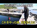 【マジ凄い】低活性時にあることをすると魚のスイッチ爆上がり。海上釣り堀攻略