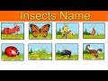 Insects Name for Kids - Learn English for kids with easy way for pre-primary classes - AKT