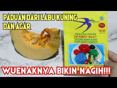 Labu Kuning Sama Dengan Pumpkin