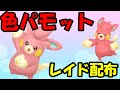 🔴【ポケモンSV】色違いパモットレイド！誰でも参加OK！ Pokemon Scarlet Violet Live Stream【参加型】