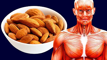 O que têm em um mix de castanhas?
