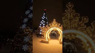 #новосибирск #елка #площадьленина #суета #новыйгод