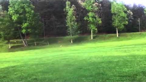 Hobby zone champ, first flight