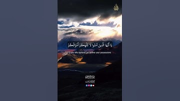 سورة المنافقون #اكسبلور #القزابري #تيك_توك #المصحف #الرحمن #حالات_واتس #راحة_نفسية #automobile