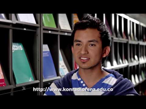Ingeniería Industrial en
