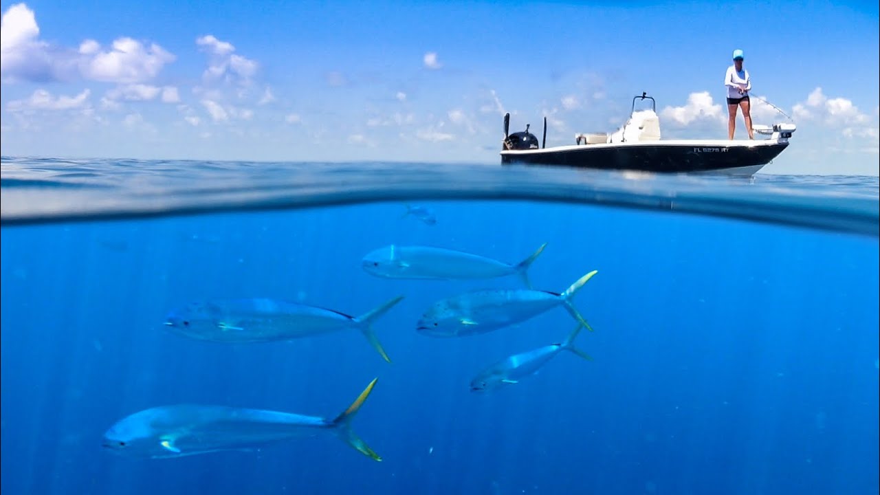 ⁣A Cinematic Journey into the Deep Sea. | Mahi Catch & Cook￼