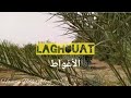 The Sound Of Nature From Laghouat Orchards صوت الطبيعة من بساتين الأغواط The Sound Of Nature From Laghouat Orchards صوت الطبيعة من بساتين الأغواط