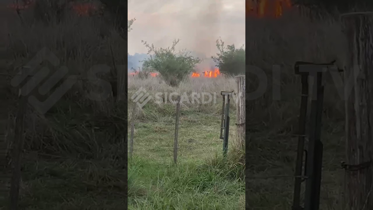 Incendio intencional en Ignacio Correas: Productores denuncian represalias por inseguridad