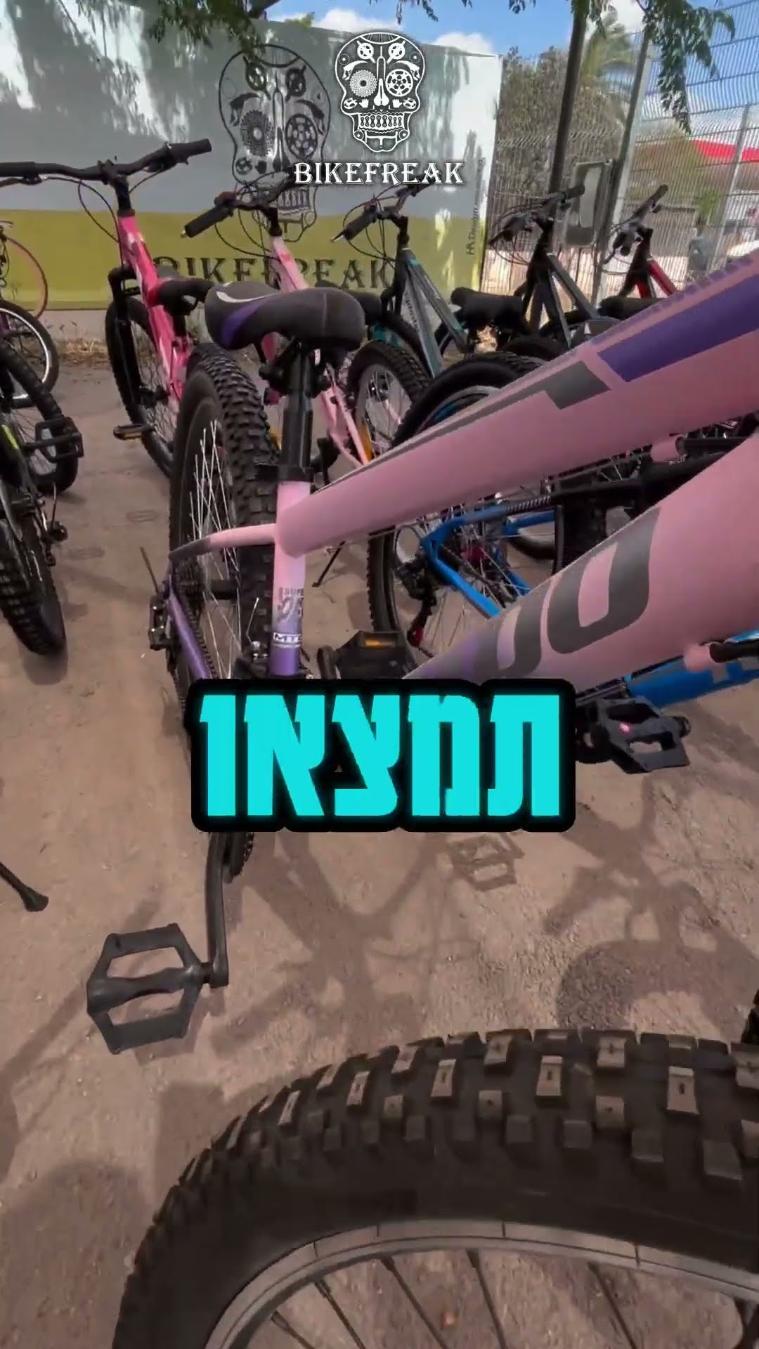 ימי צילום