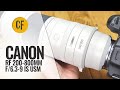 Canon rf 200800mm f639 is usm lens review