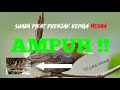 Suara Pikat Burung Prenjak Kepala Merah Ditinggal Sebentar Auto Jungkir Balik Mp3 - Mp4 Download