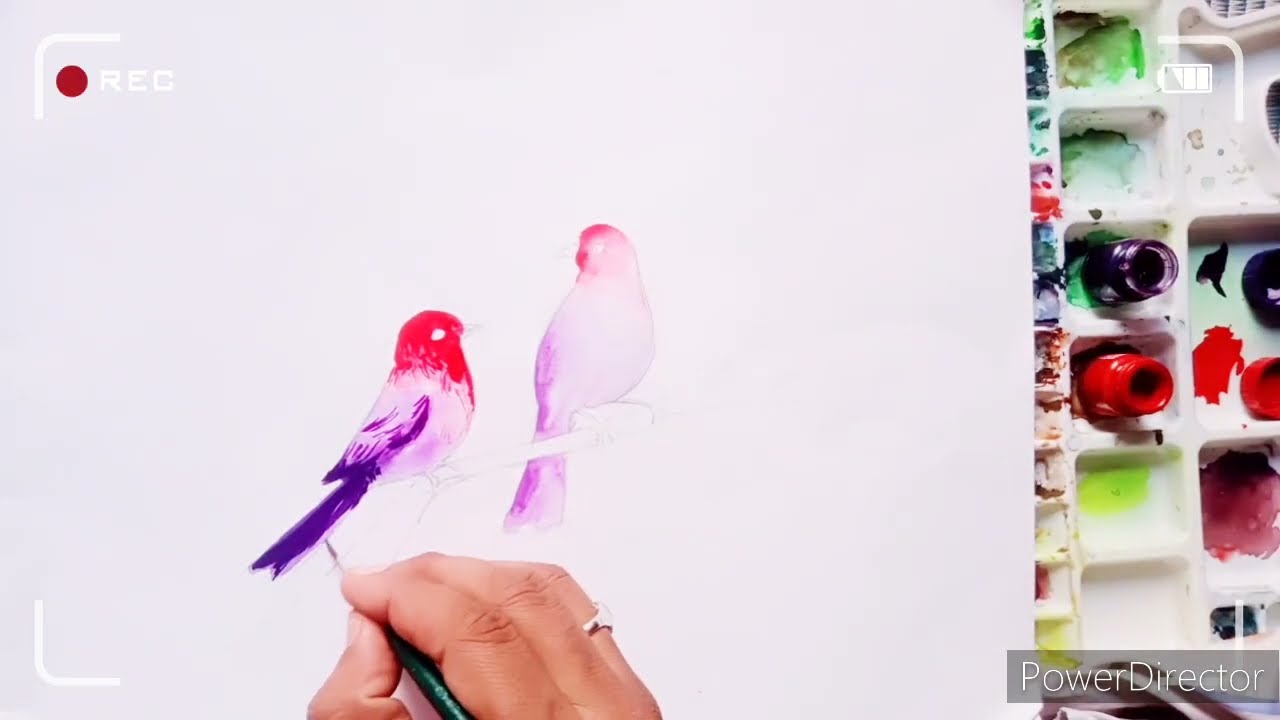 how to paint colourful Bird's/रंगीन चिड़िया का चित्र YouTube