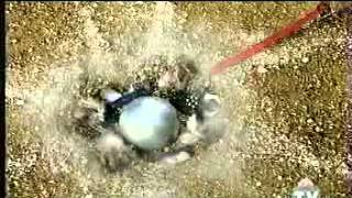 Komik Videolar Darkadas Com Bayan Arkadaş