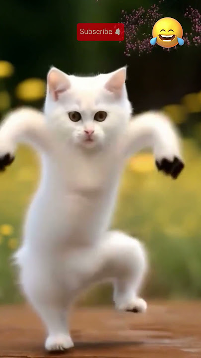 Russian Baby Cat Funniest Dance Moves! Try not to laugh 😆 #russia #dance #shorts