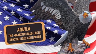 Aquila The Majestic American Bald Eagle