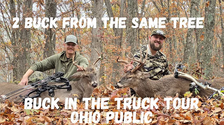 2 Buck from the same tree! Public Land Deer Hunting: Ohio Buck in the Truck Tour 2024