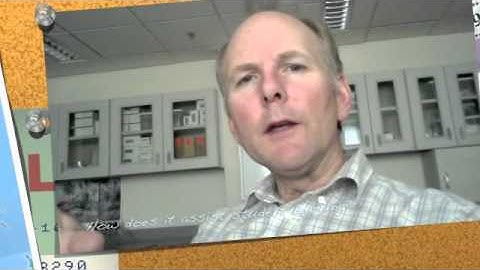 Reflecting on MYP Unit Plans