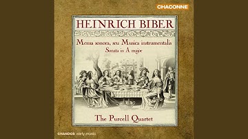 Mensa sonora, seu Musica instrumentalis, Pars 4 in B-Flat Major, C. 72: V. Sarabanda