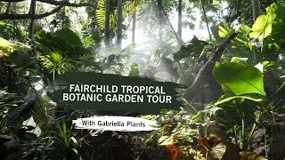 Exploring Fairchild Tropical Botanic Garden with Brett Weiss (Gabriella Plants)