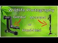 Wildlife Photography | Tripod-Gimbal, Monopod or Hand-Held